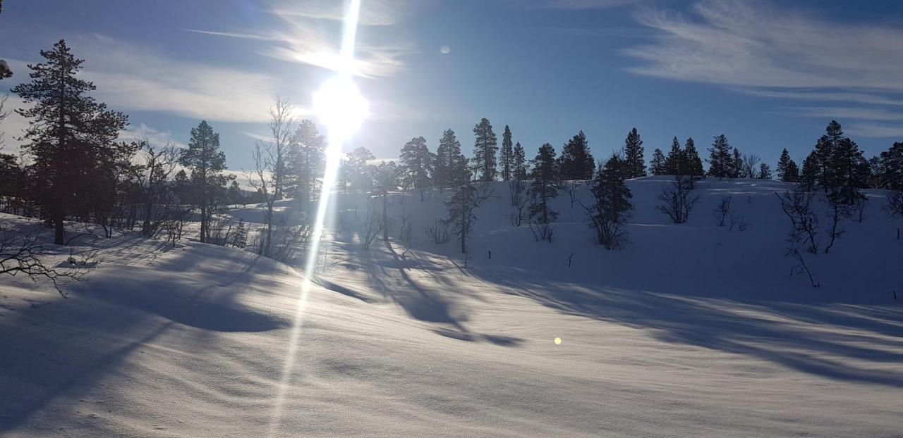 Malangen Apartment Kjerkevik エクステリア 写真